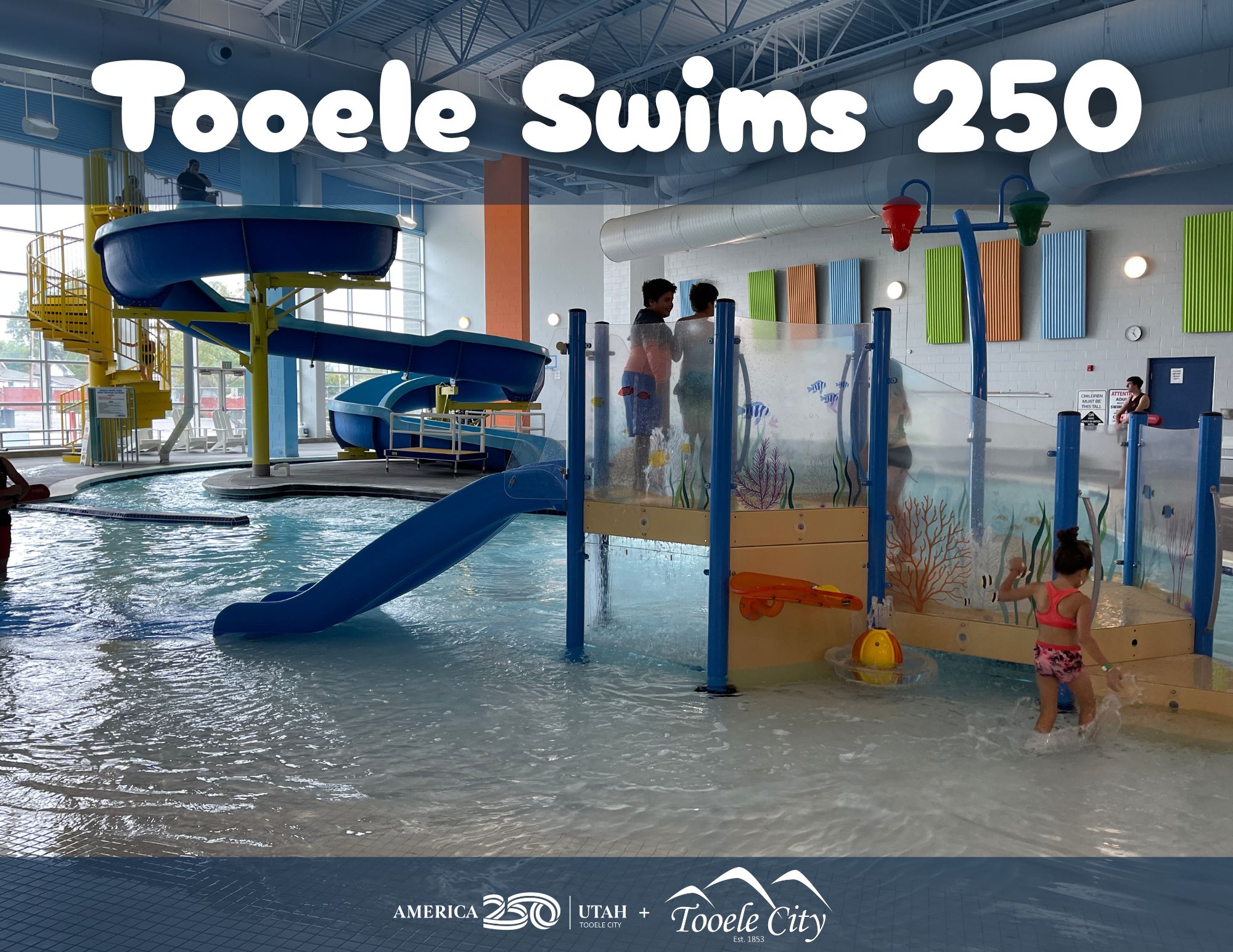 Tooele Swims 250 Button